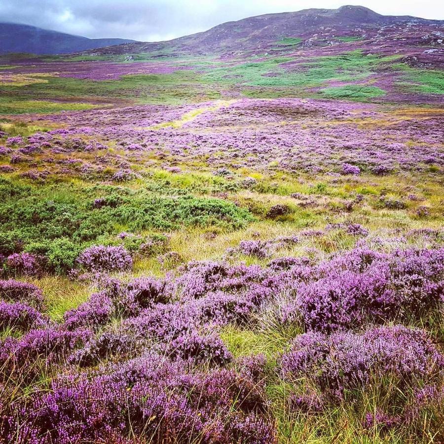 Baltinna East - By Where Stags Roar Newtonmore Εξωτερικό φωτογραφία