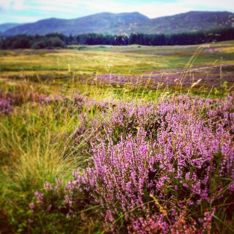 Baltinna East - By Where Stags Roar Newtonmore Εξωτερικό φωτογραφία